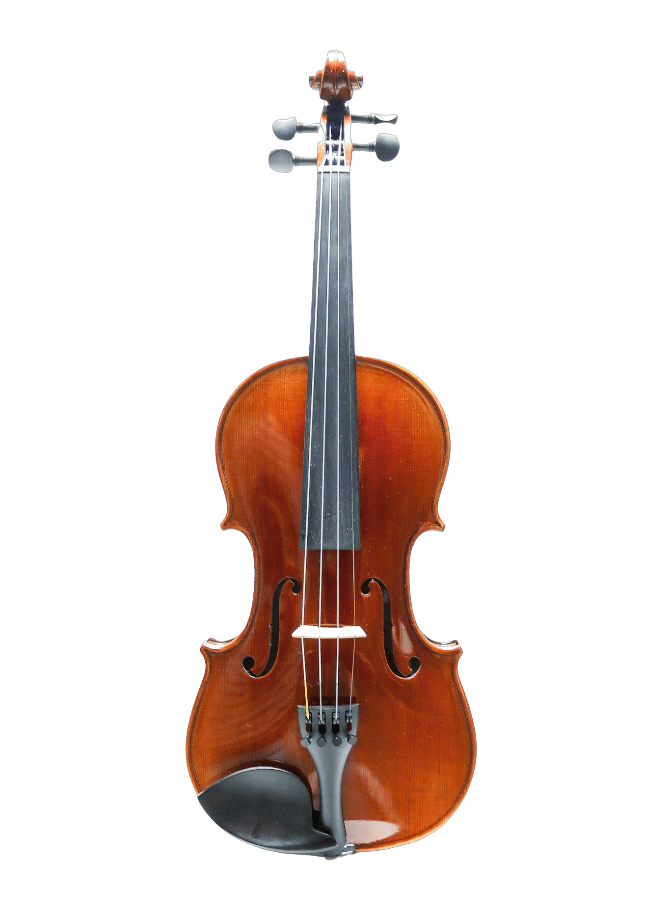 Scherl & Roth Violins, Violas, Cellos & Basses Since 1932